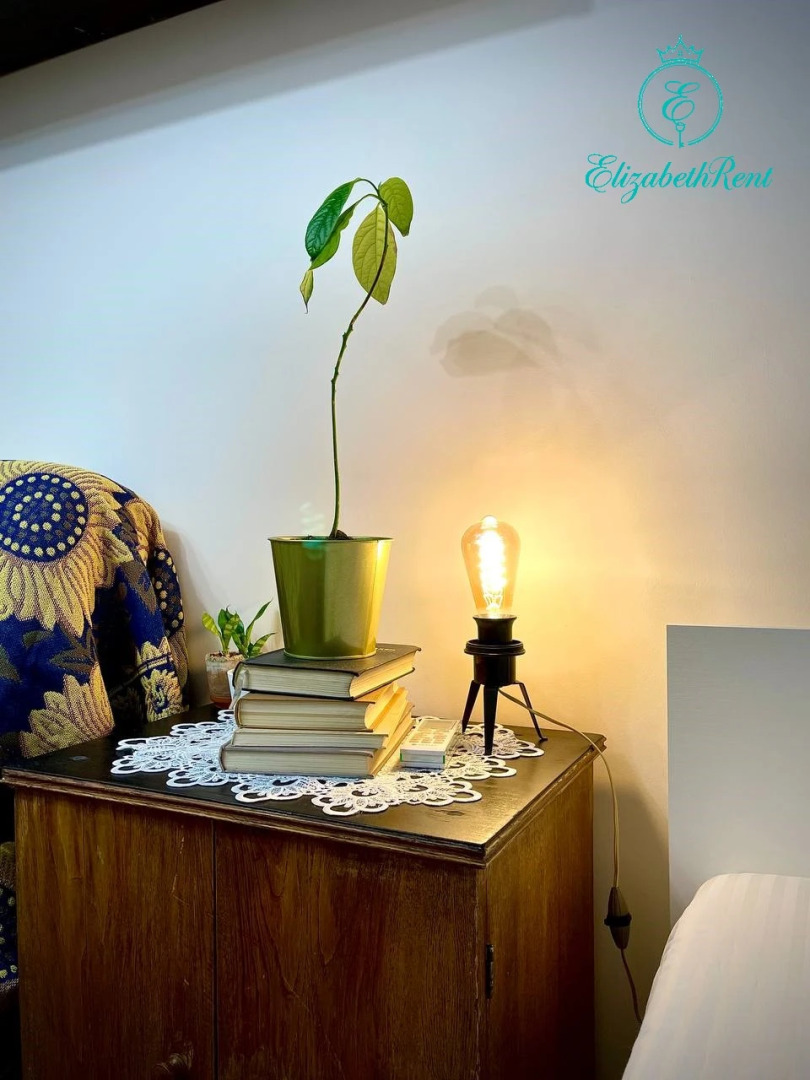 Квартира 1-комнатная ретро-винтаж квартира в центре Москвы