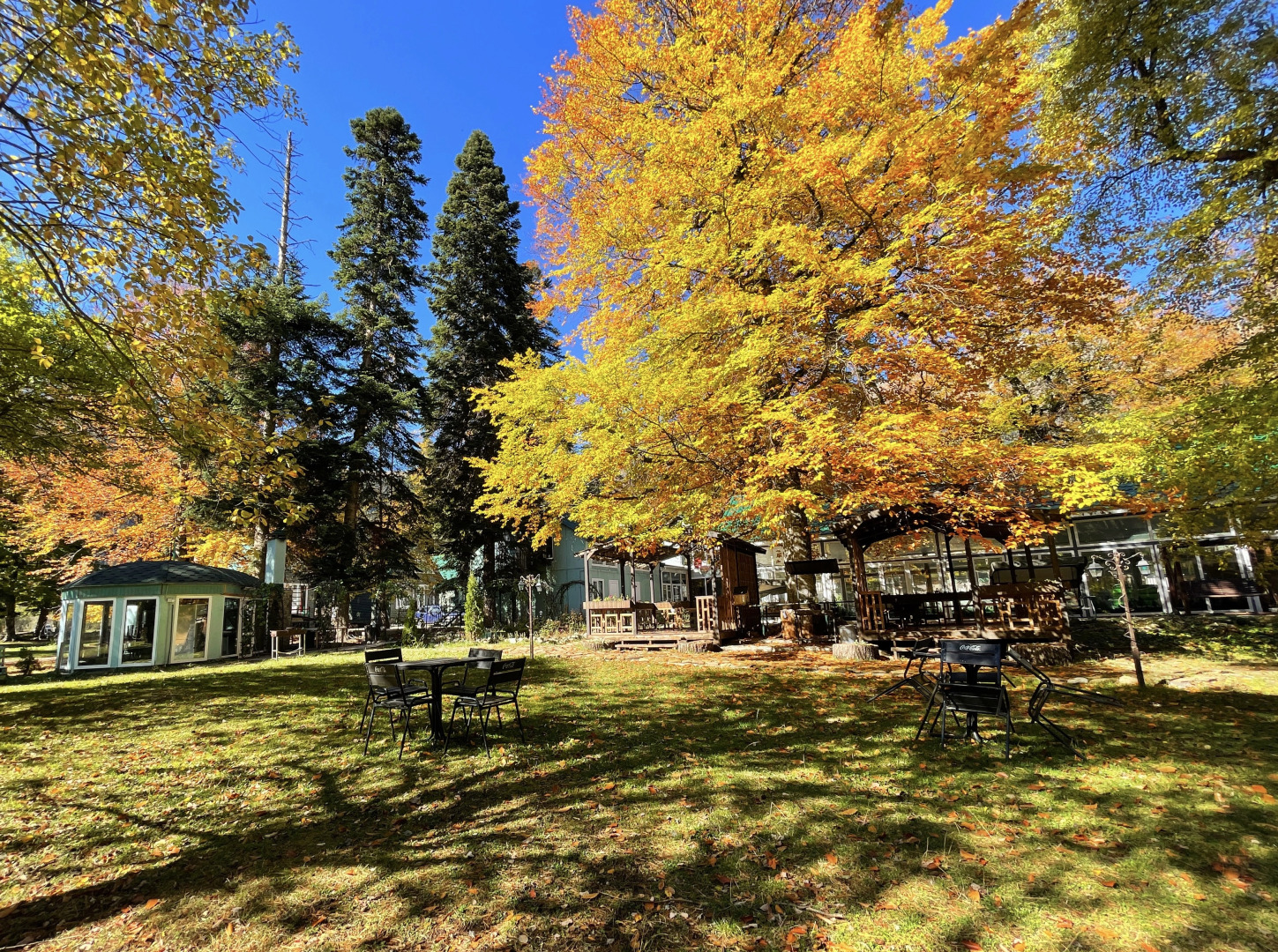 Отель Green Park Spa & Усадьба