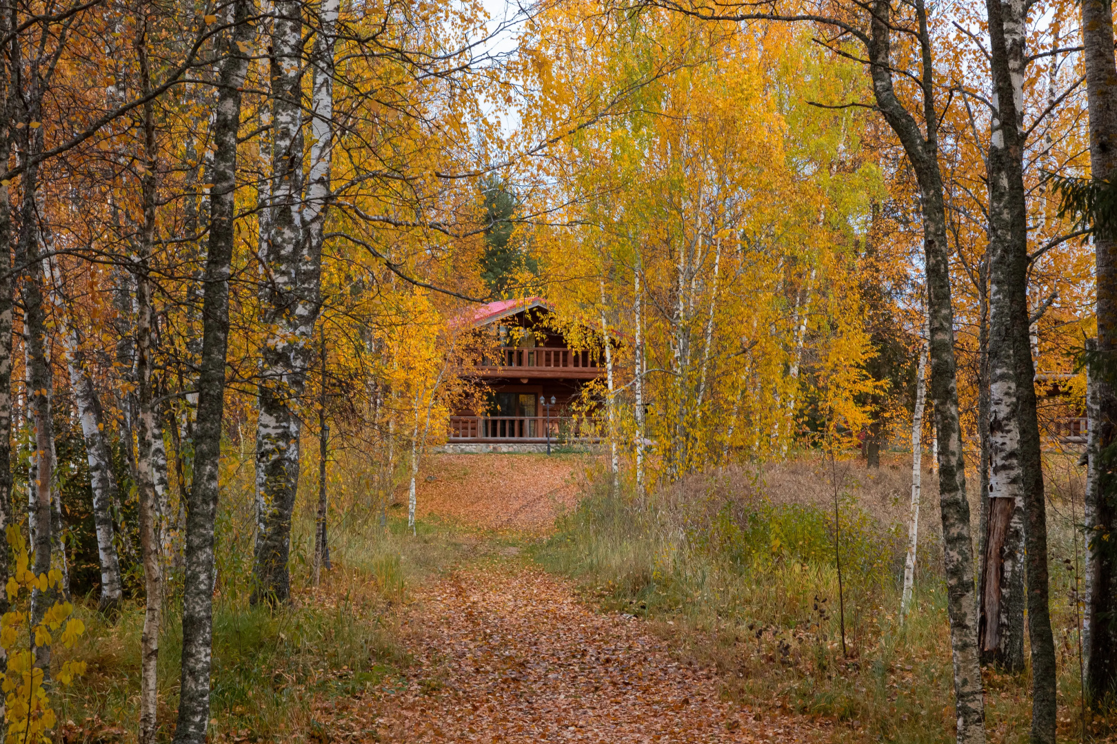 Отель Valday Hunting & Country Club