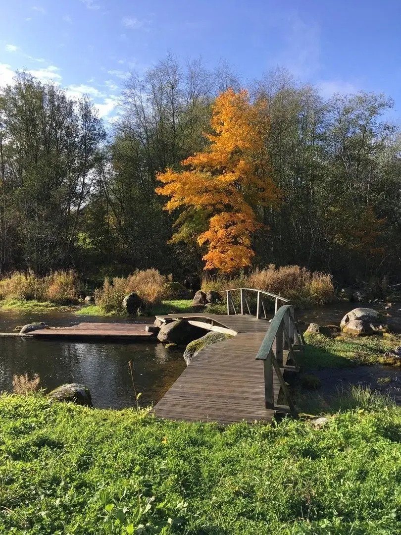 Усадьба Ястребино коттедж Верхний Дом