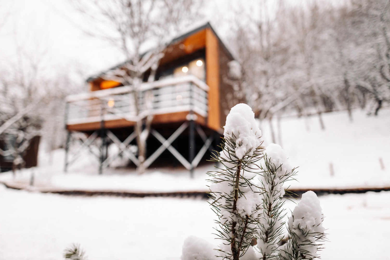 Кемпинг Загородный клуб Форрест