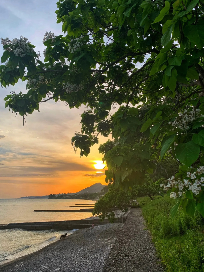 Гостевой дом Эдгар