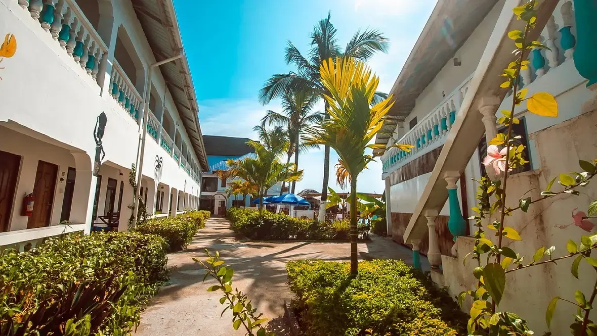 Отель Zenobia Beach Resort
