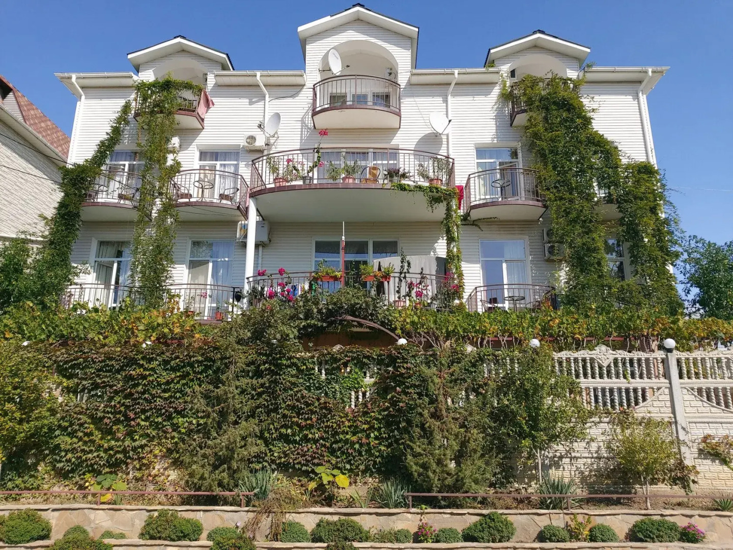 Отель Оазис