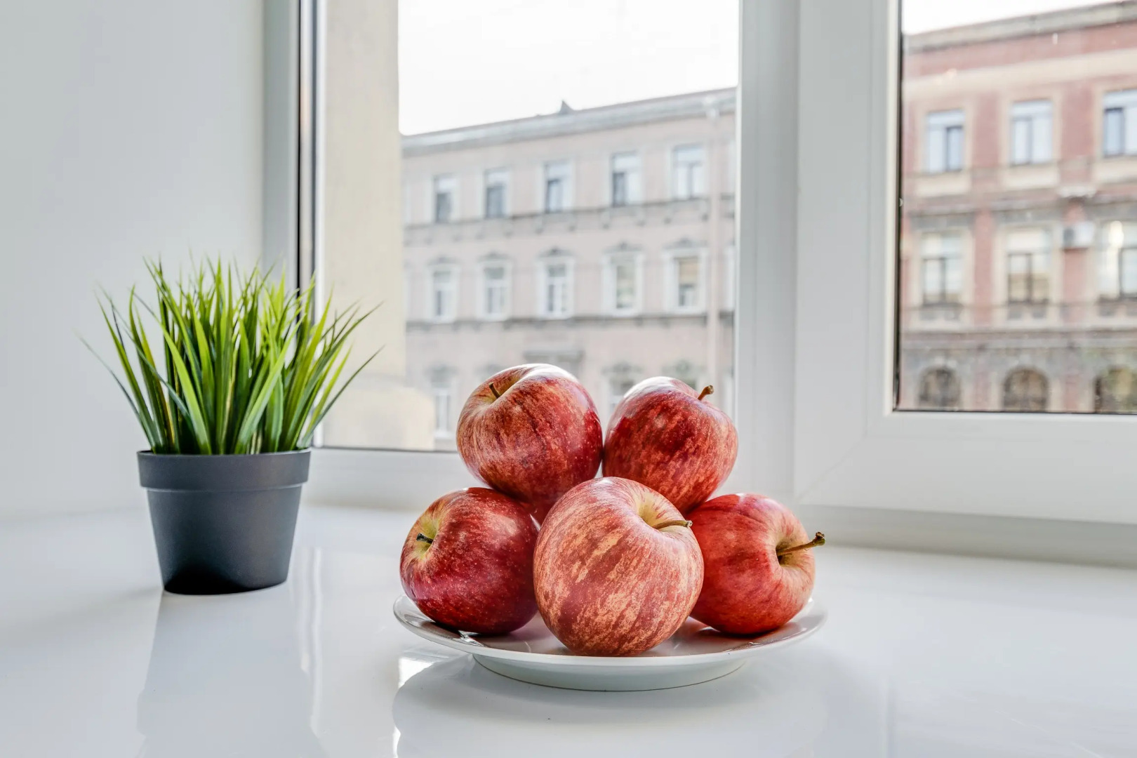 Апартаменты Sokroma Черный слон