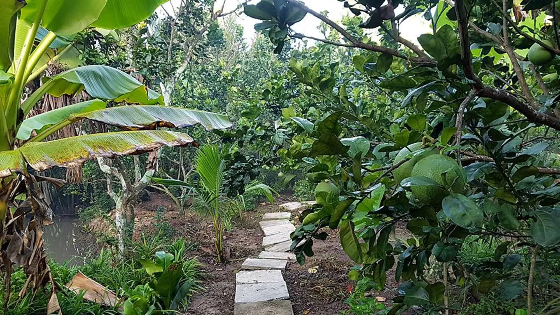 Гостевой дом Nhon Thanh Homestay