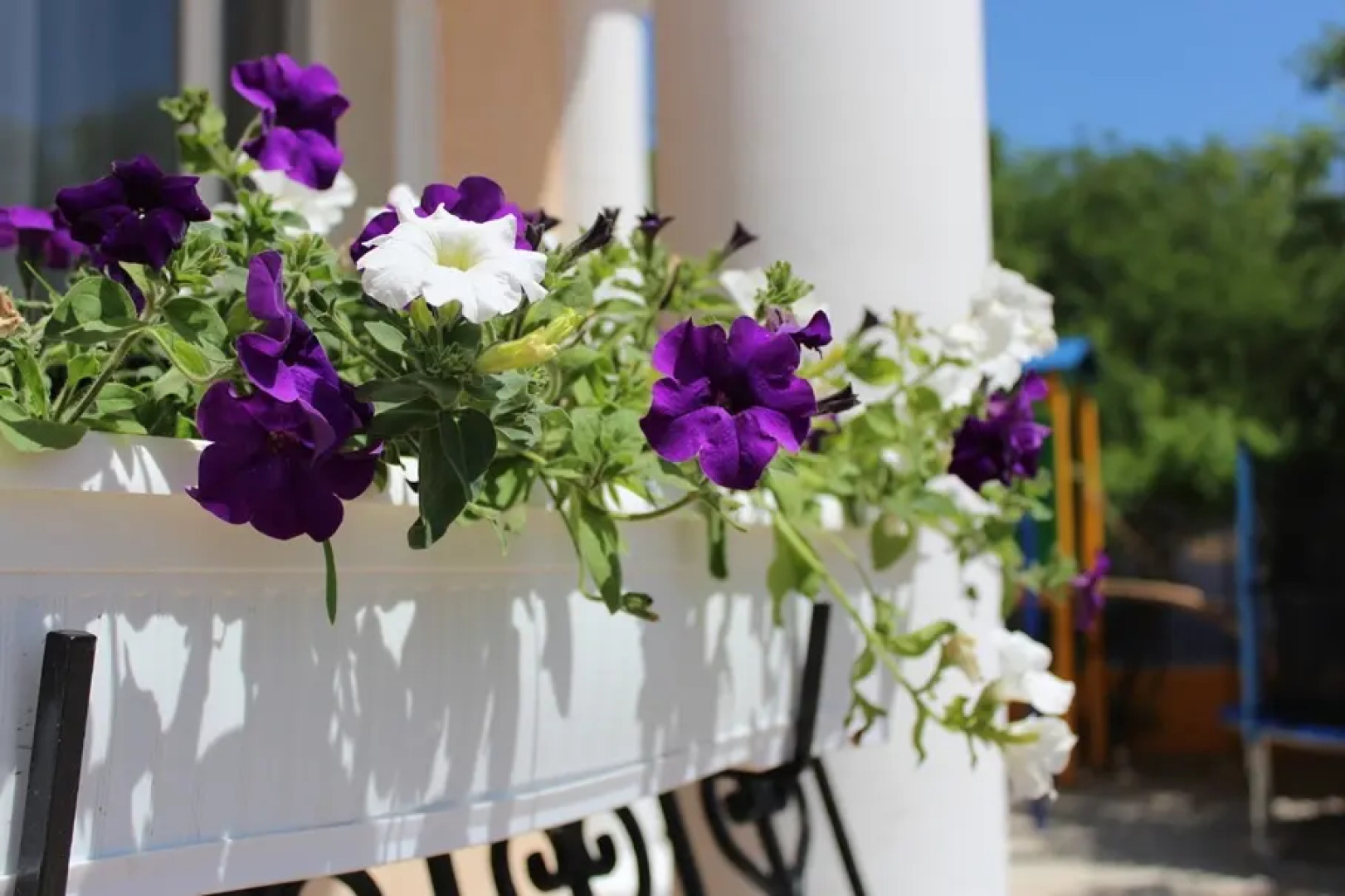 Отель Экватор