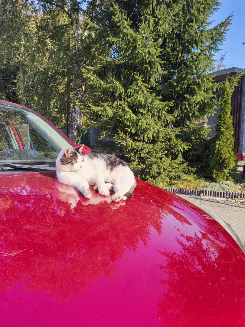 Гостевой дом Тихая Гавань