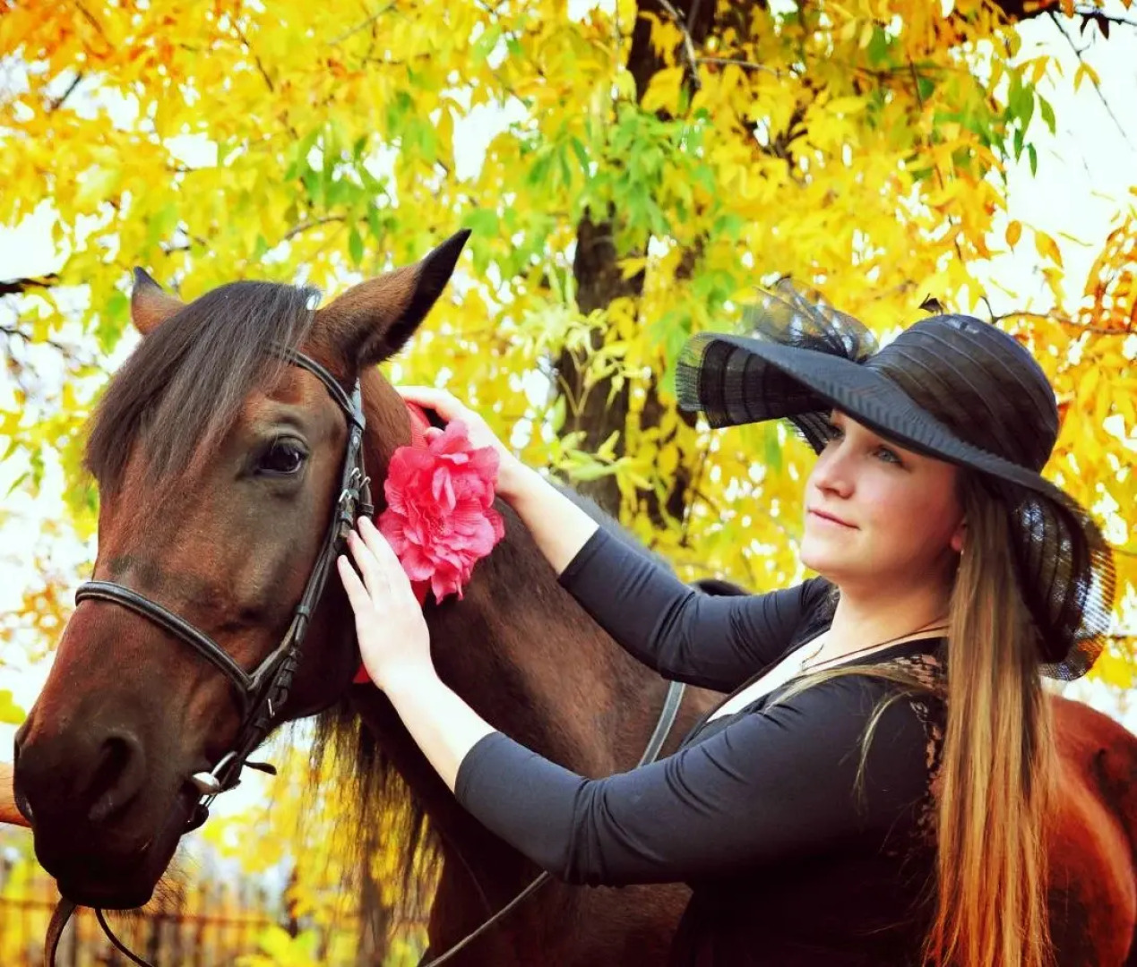 База Отдыха Дача Поддубного