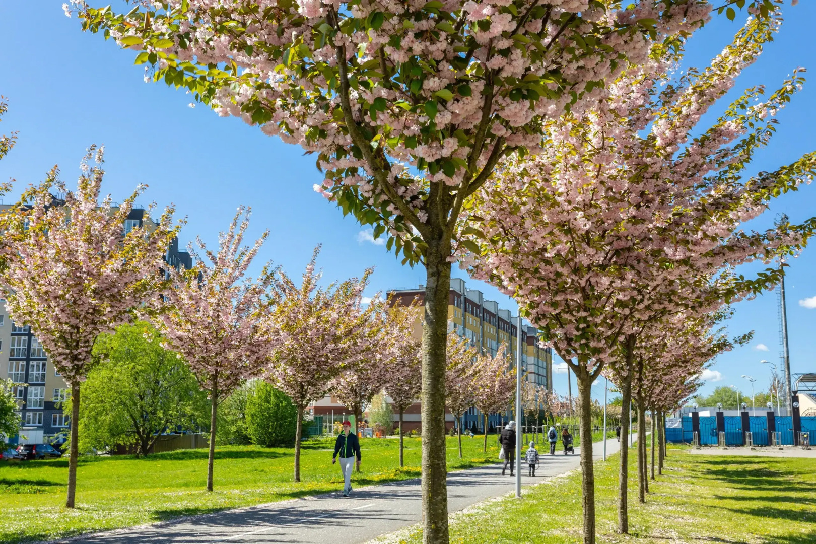 Апартаменты Indigo Apartments