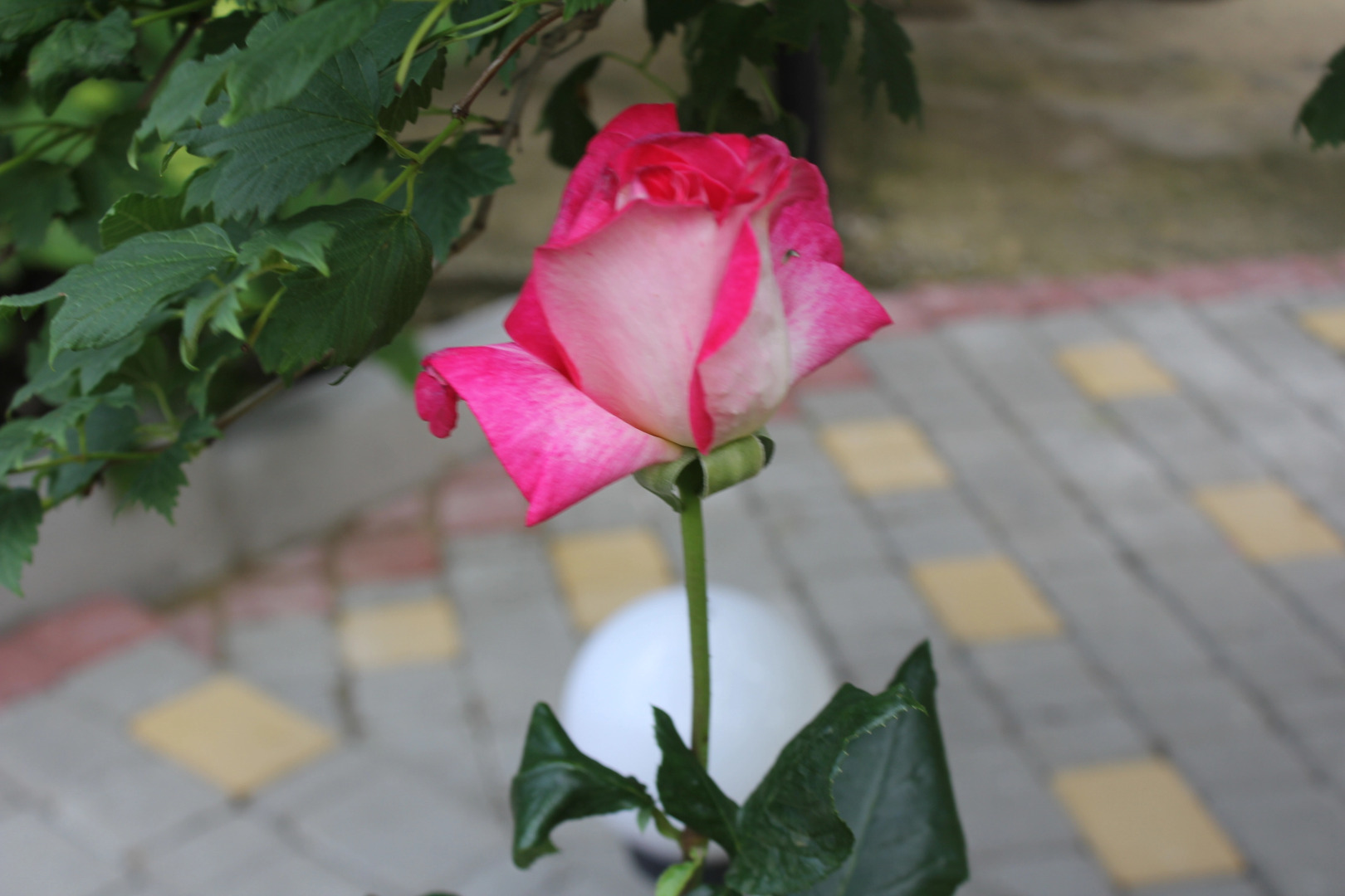 Гостевой Дом Елена