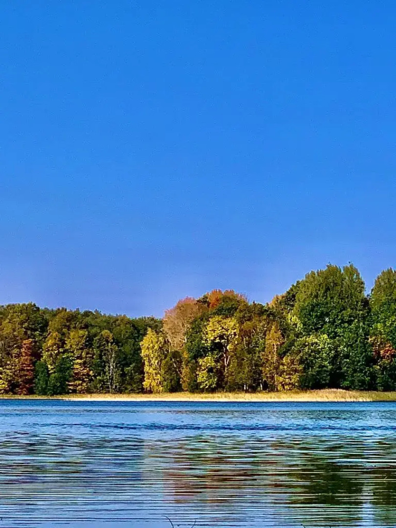 Бунгало Изба у Дуба.Хутор Ишково