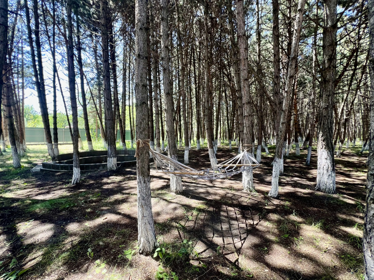 Курортный отель Milenium