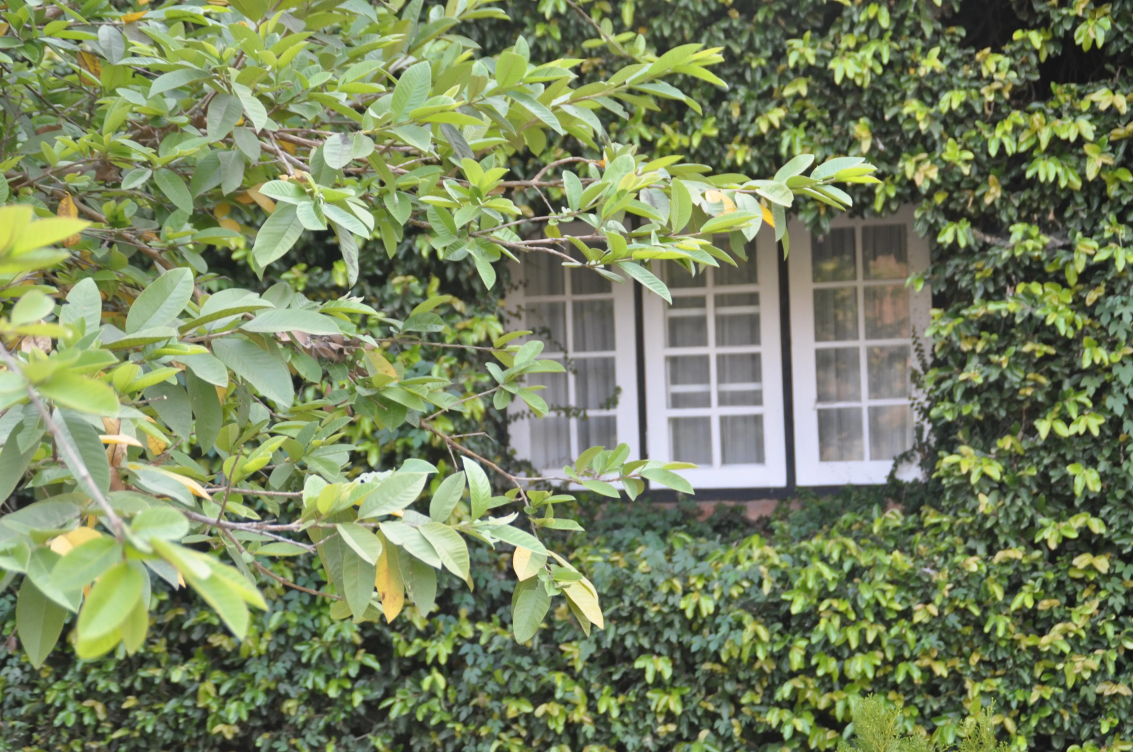 Kalaw Heritage Hotel since 1903 Hotel