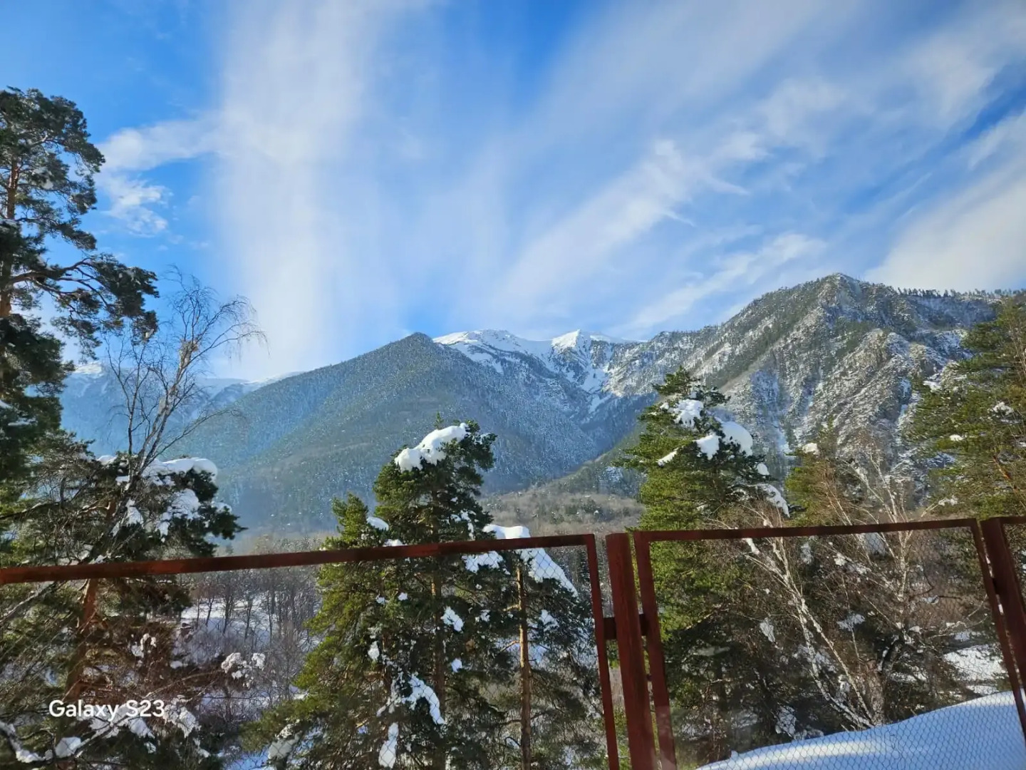 База отдыха ОЛЬХОВАЯ