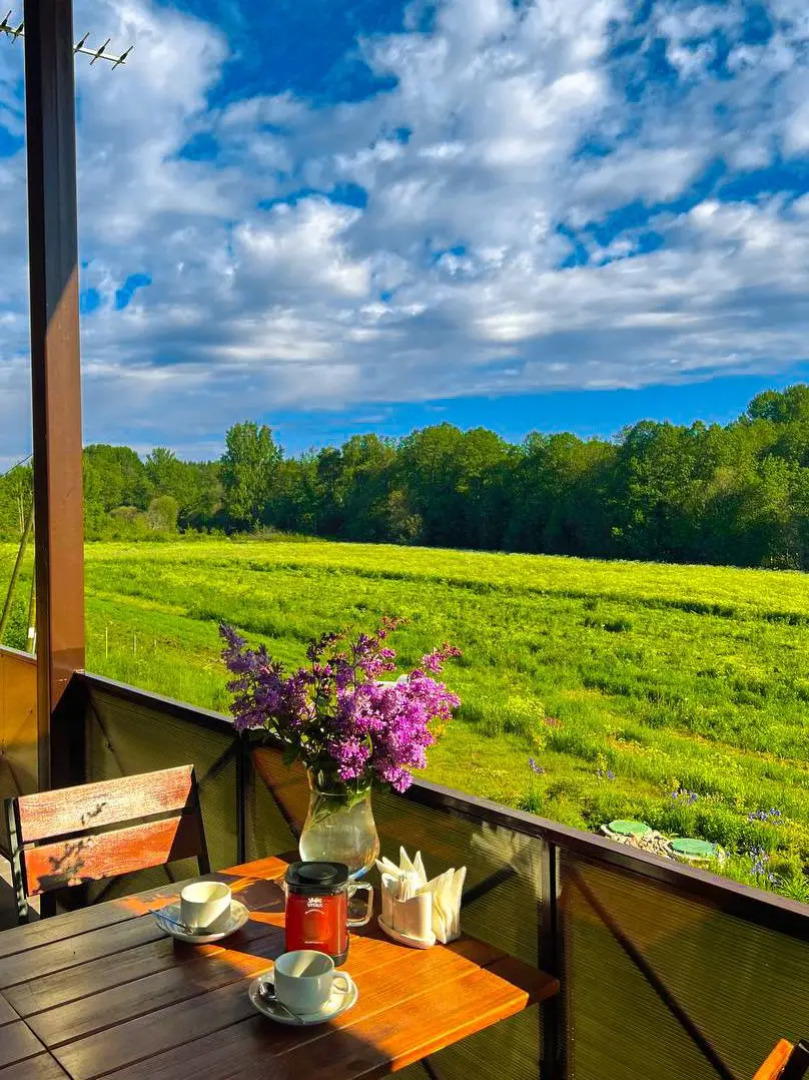 Гостевой Дом Vilajoki Agro