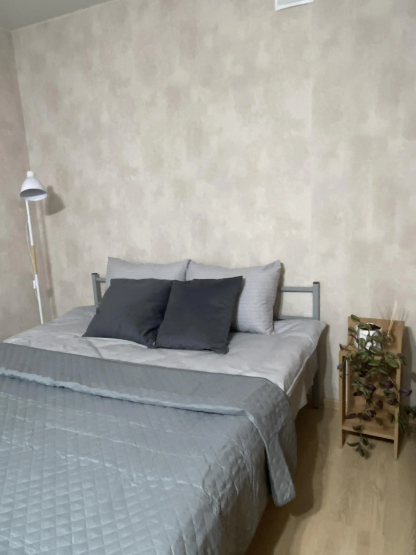 Квартира студия в центре города 50 оттенков серого