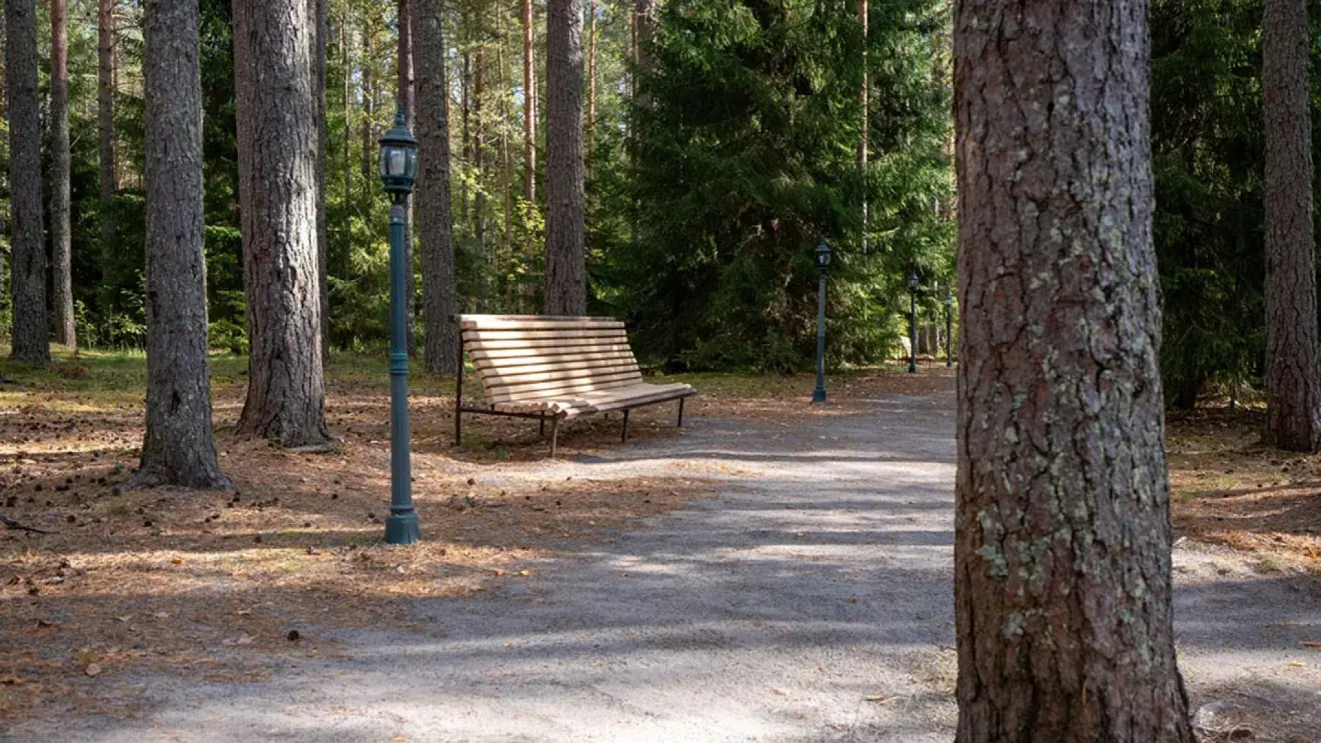 Отель База отдыха Заветное