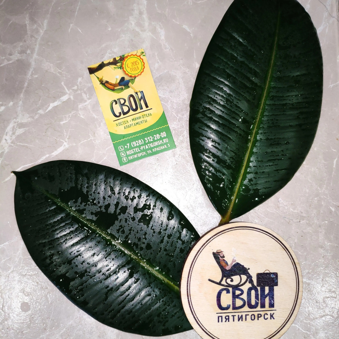 Хостел "Свои"