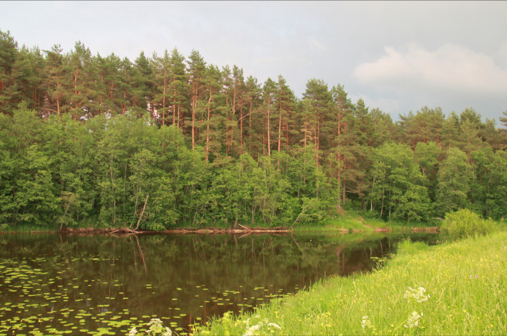 Частный дом в деревне