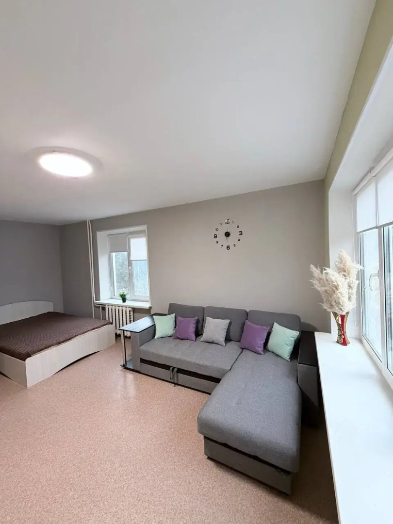 Квартира Светлая 1-ком на Ленина