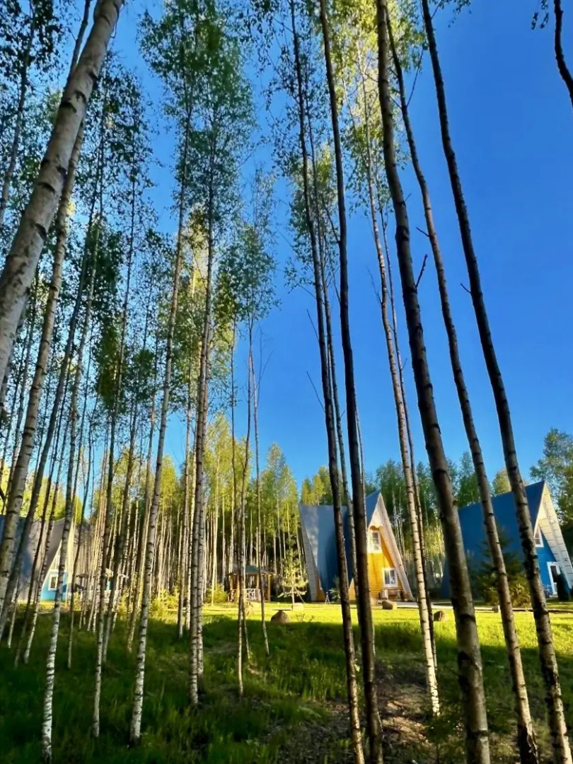 Гостевой дом Эко-Лайф Тимонино