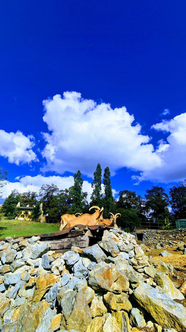 Polonezköy Country Club & Accommodation in the Wildlife Park