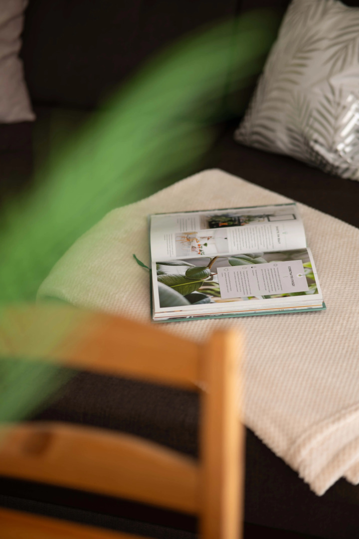 Квартира с видом рядом с парком