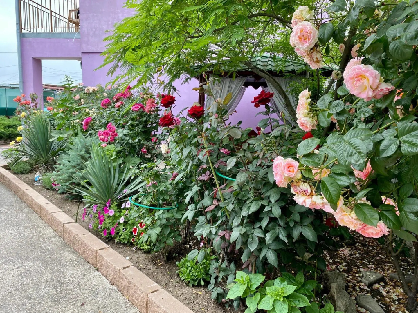 Гостевой Дом Фортуна