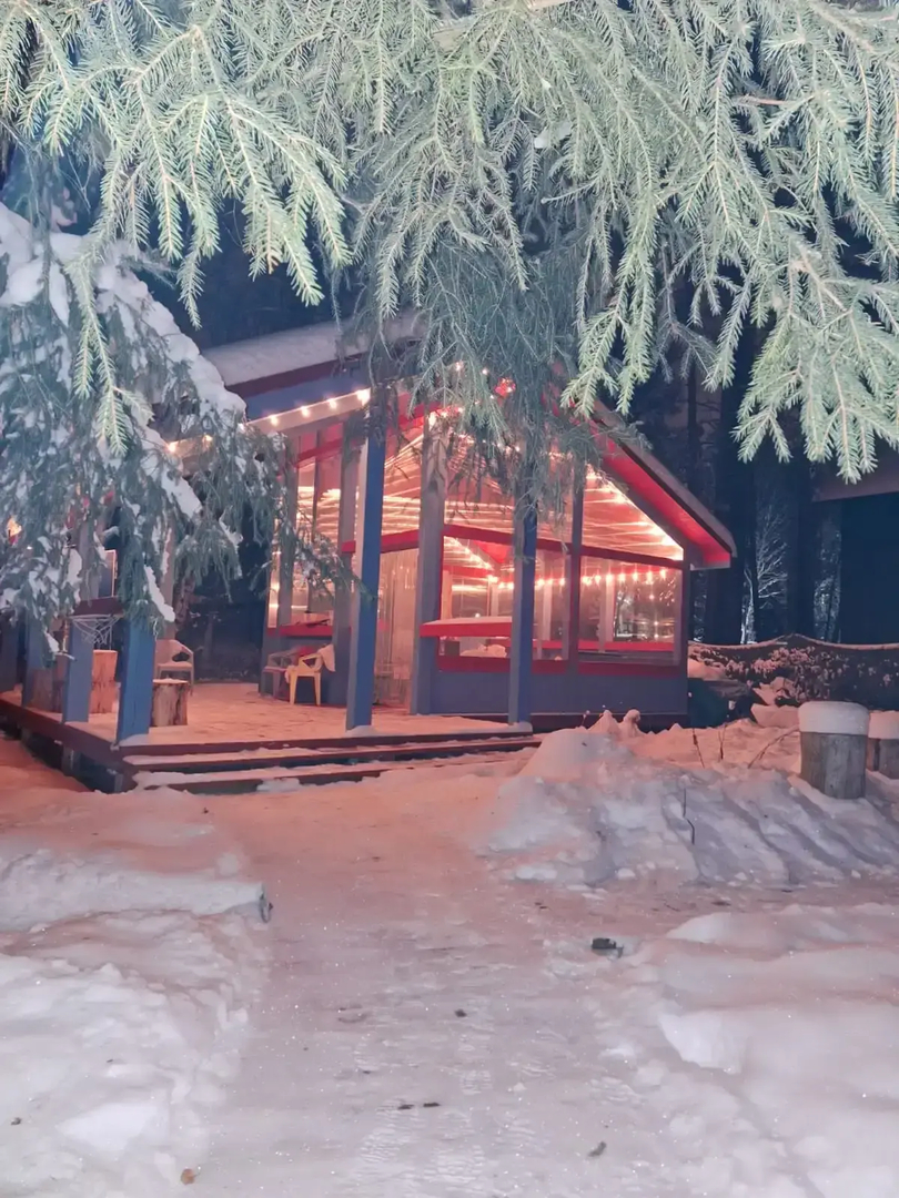 Частный дом в Заветах Ильича с голубой гостиной