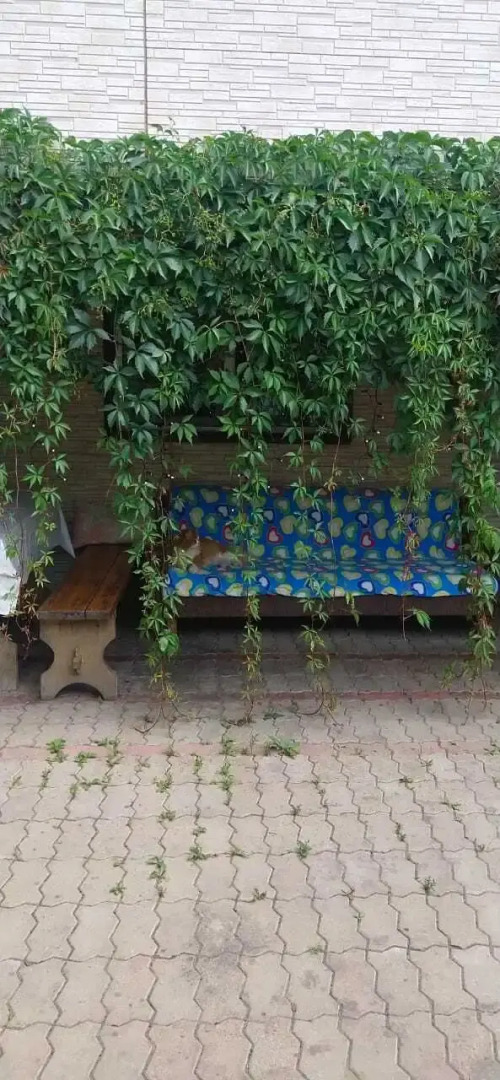 Частный дом с баней на территории