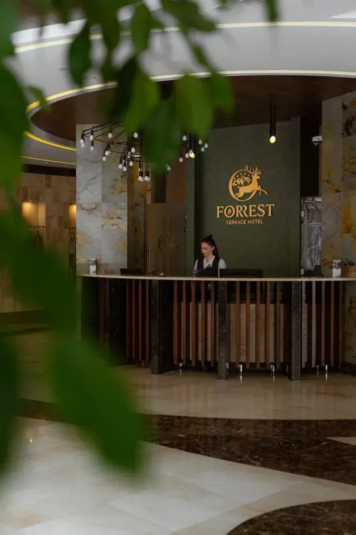 Отель Forrest Terrace