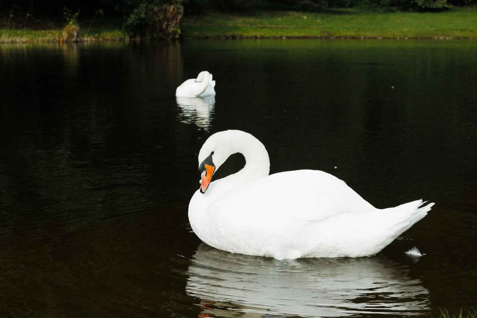Гостевой дом Шувалофф