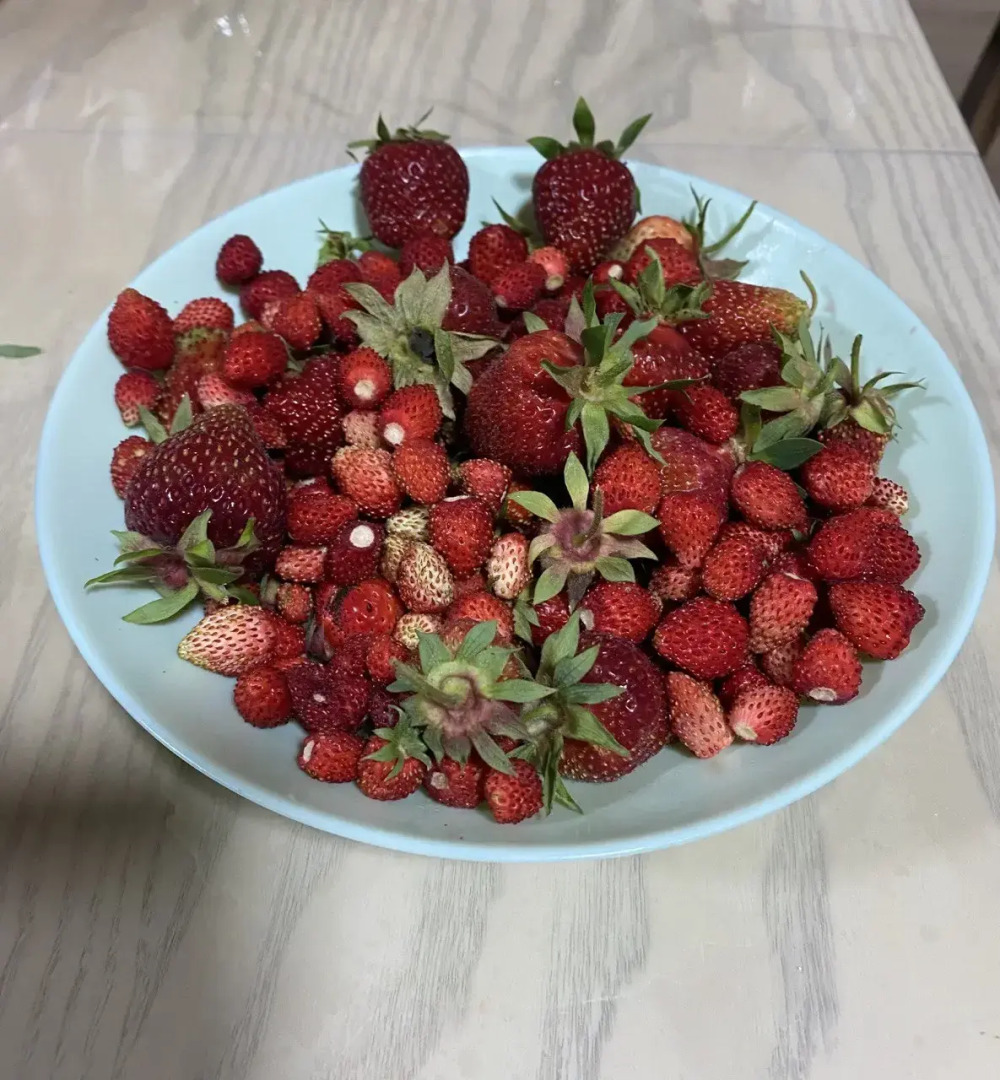 Вилла Усадьба Лесной Рай