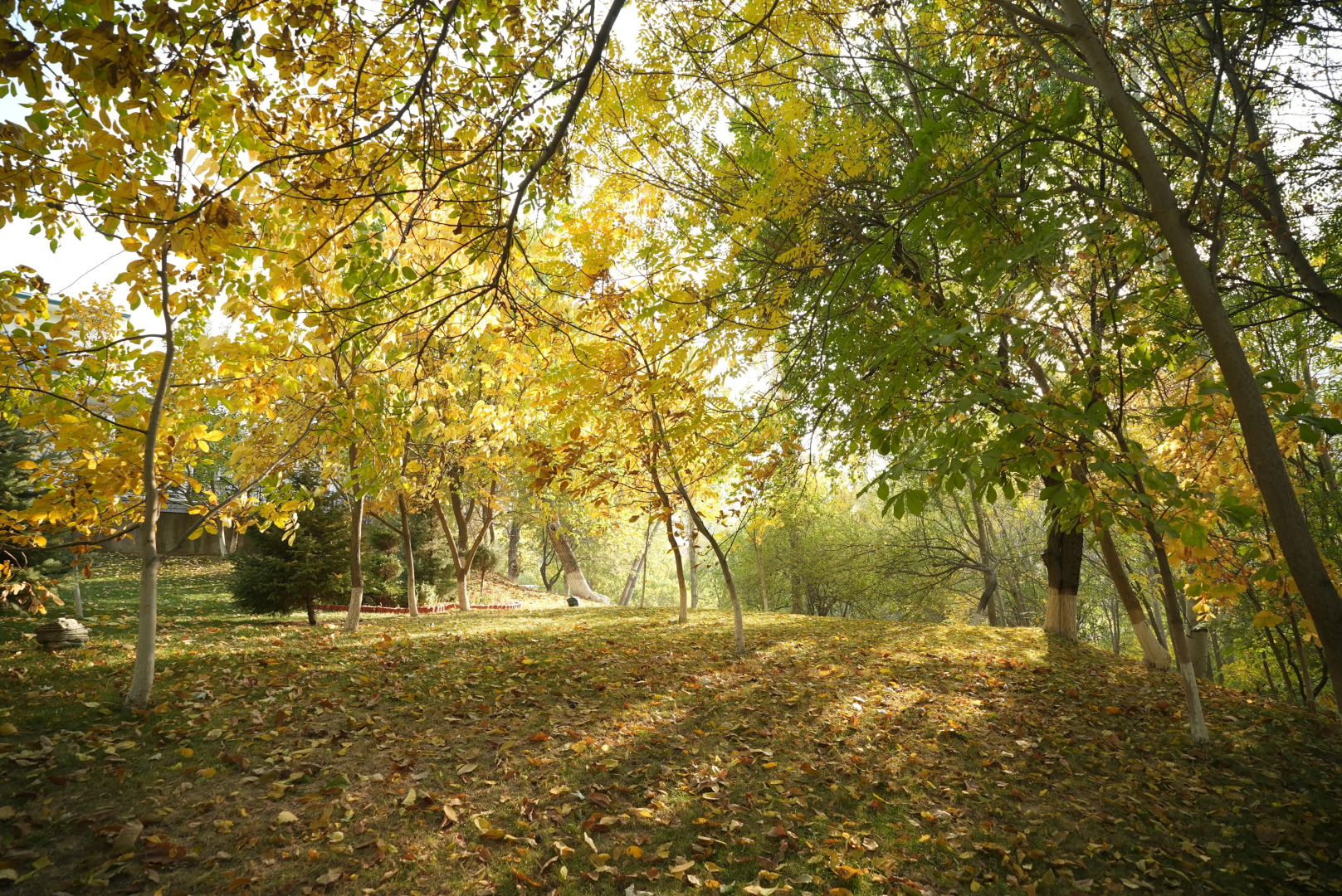 Wellmore Resort Hotel Charvak