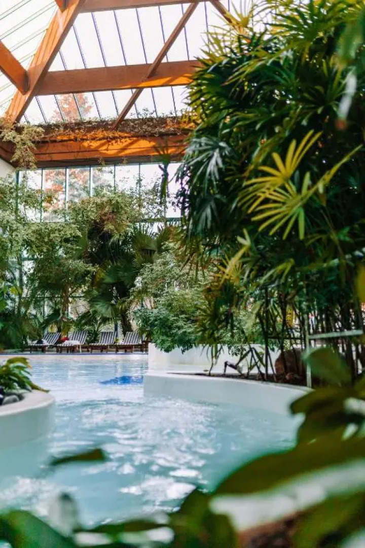 Отель Rahat Palace