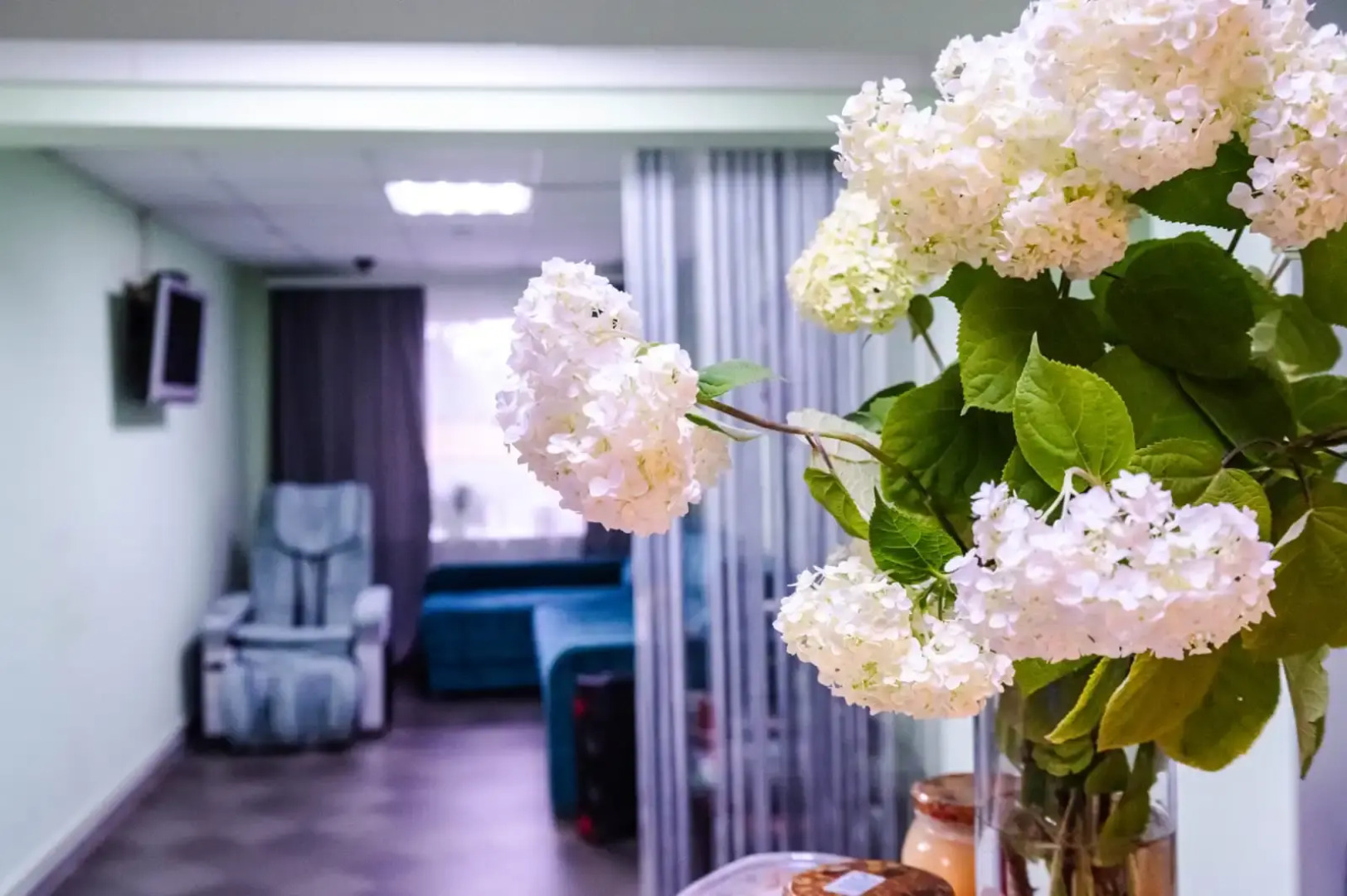 Мини-Отель Гармония Плюс