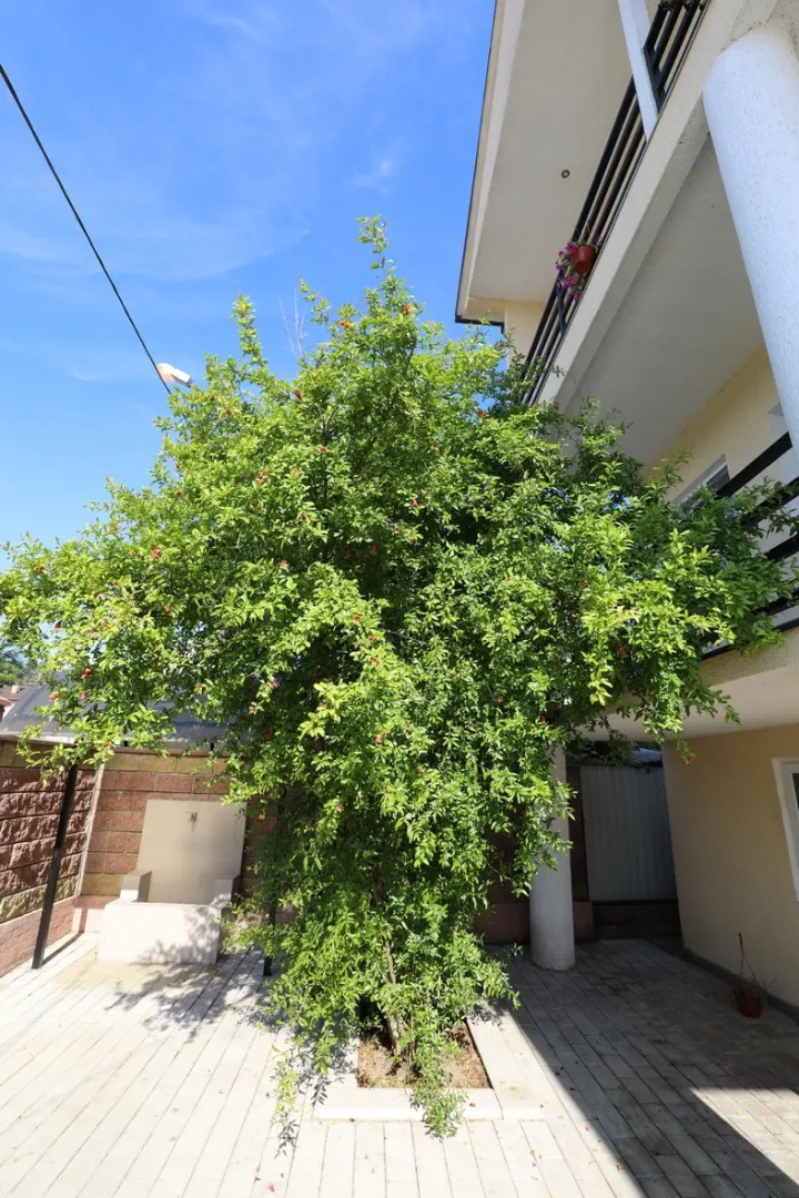 Гостевой дом Розалин