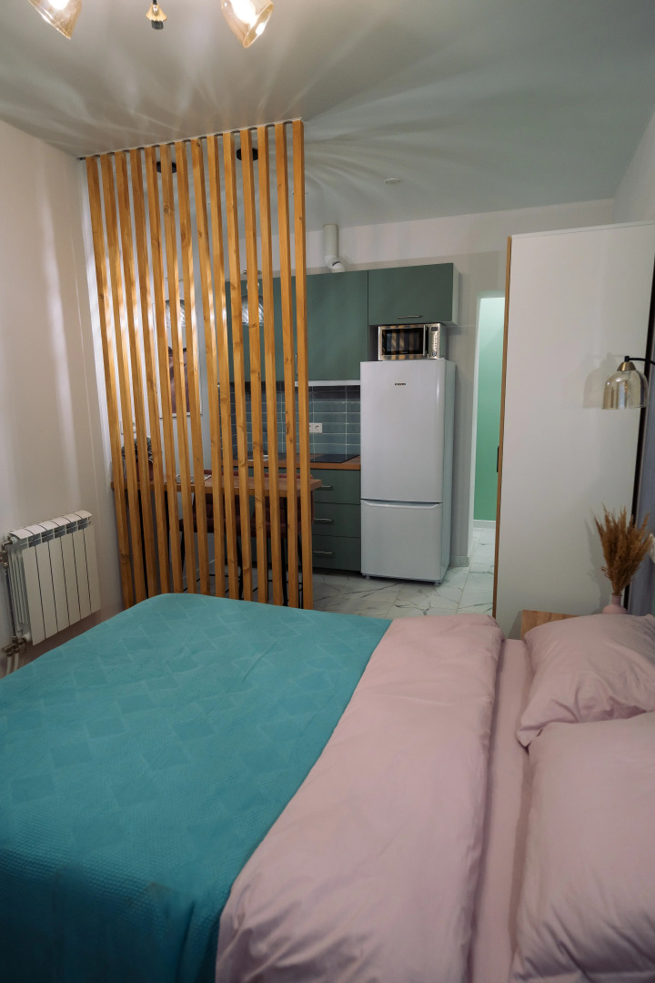 Апартаменты СВ Гусева студия Земля