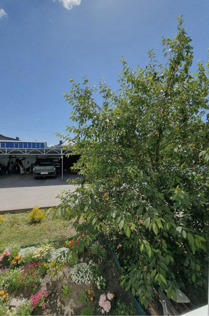 Квартира в Дорожном