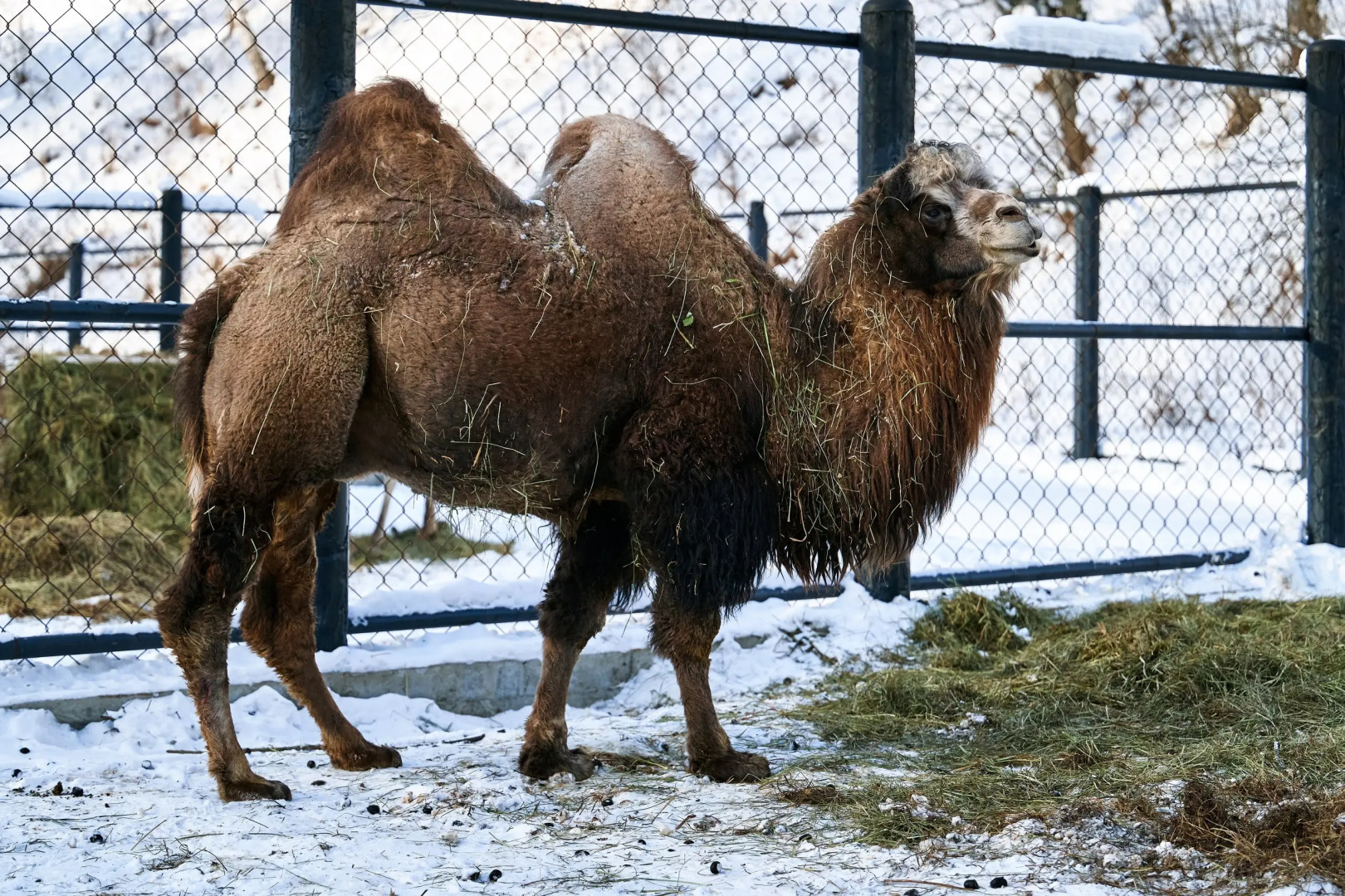 Отель Карым-Муны