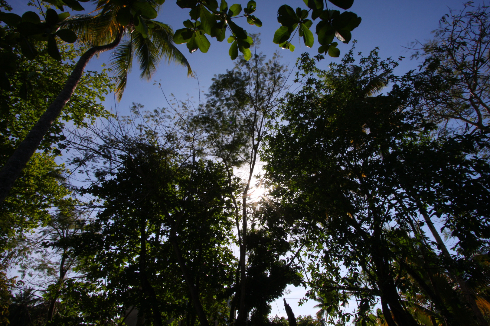 Апарт-отель Residencia del Paseo