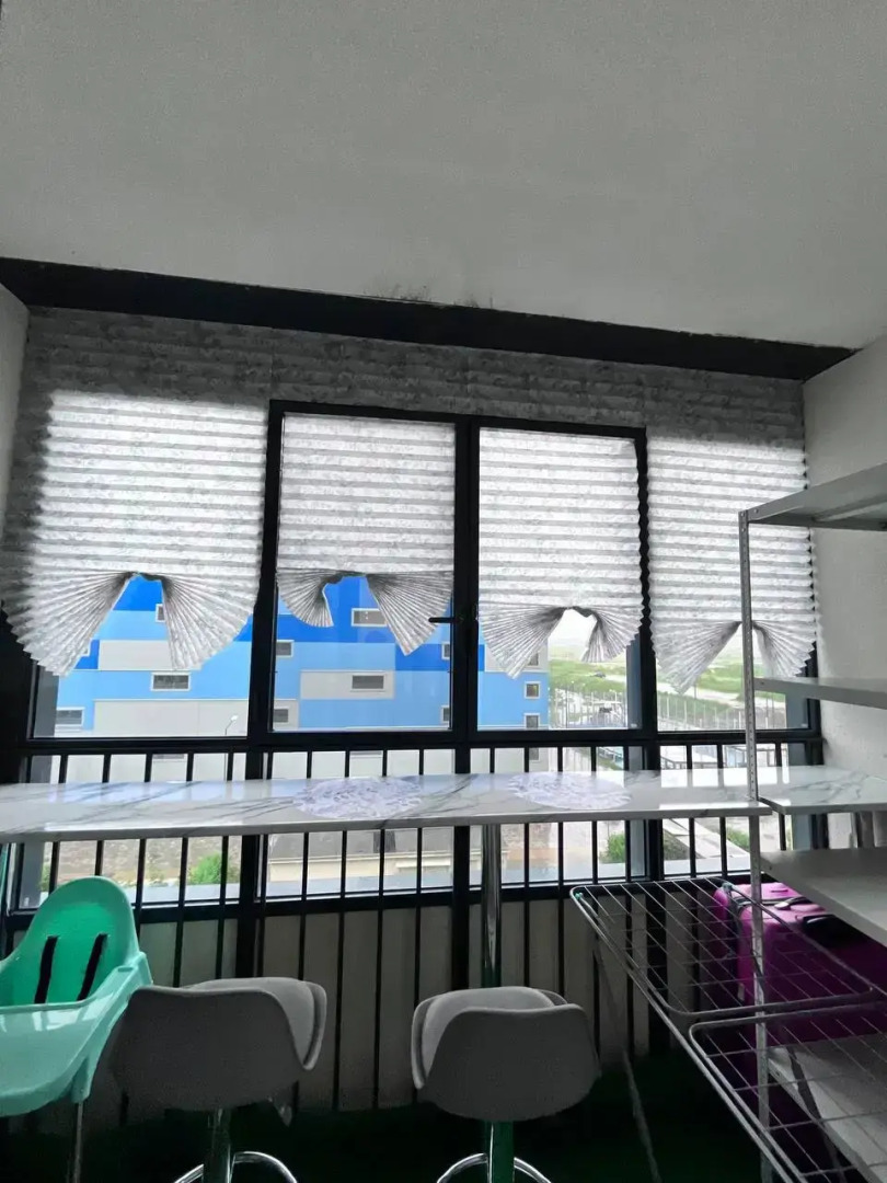 Квартира Тропики в Питере