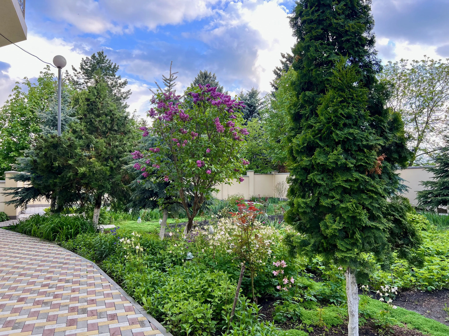 Отель Mountains