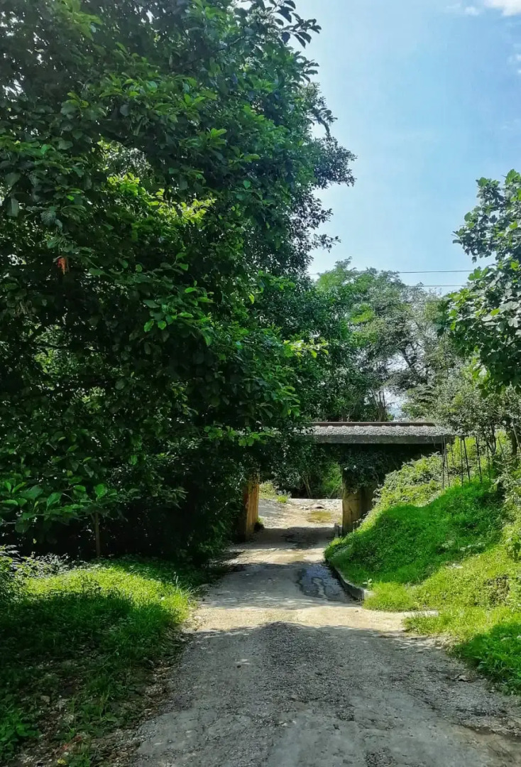 Частный дом Аист Абхазия