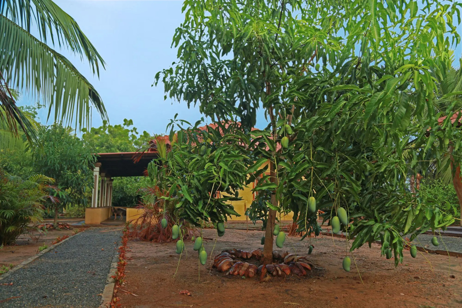 Курортный Отель Heina Nature Resort & Yala Safari