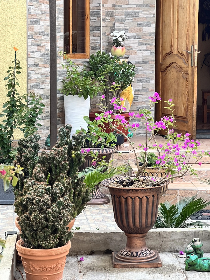 Гостевой дом Сюзи