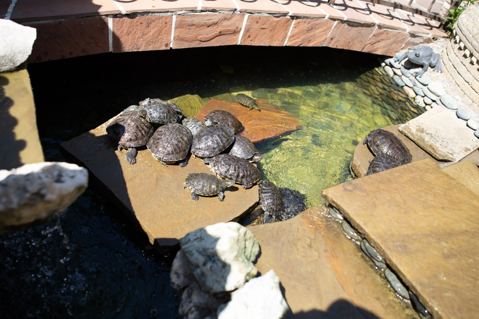 Гостевой дом Камелот