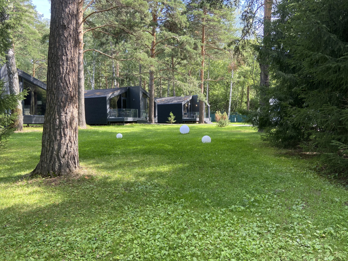 Парк-отель Сосновый Бор