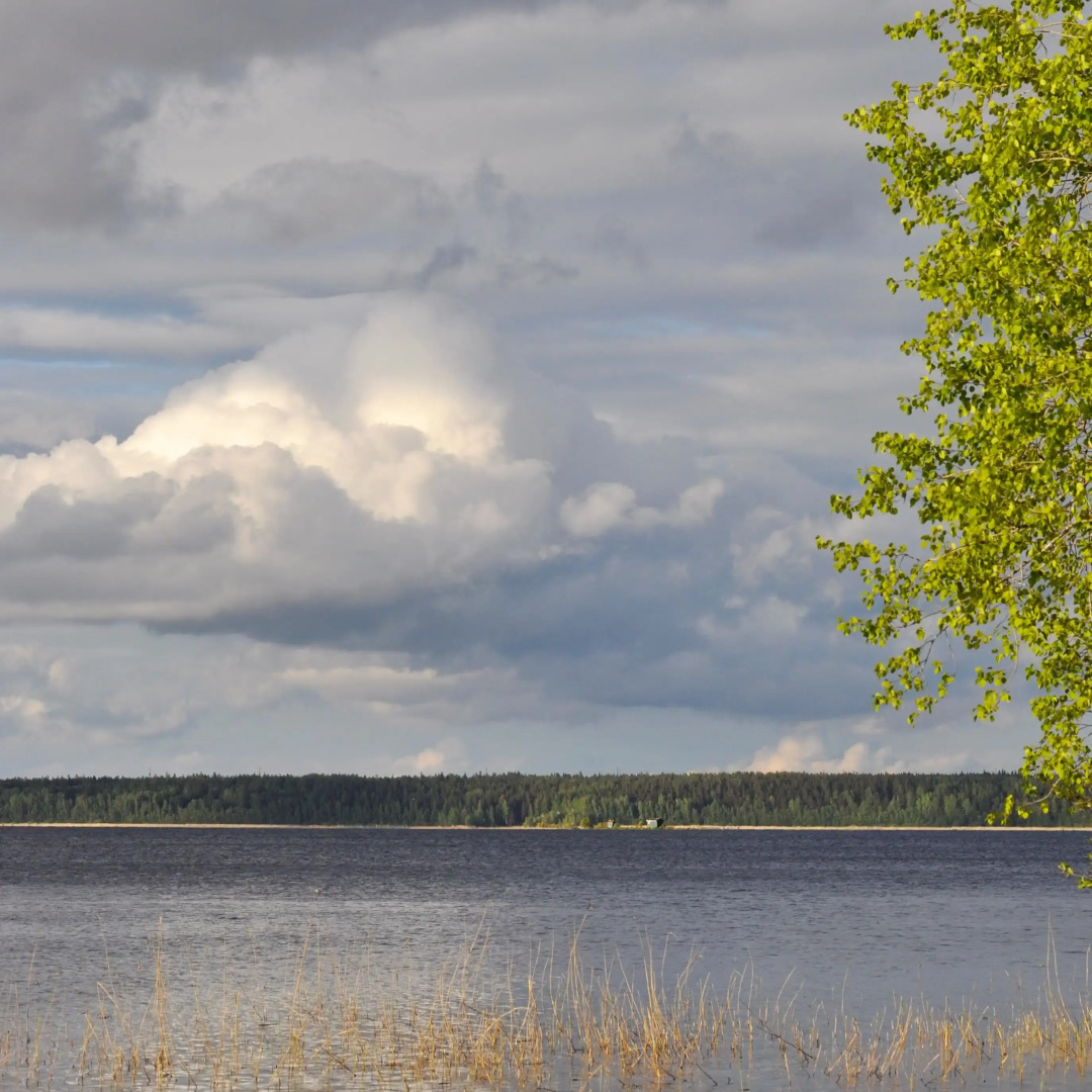 Частный дом BlackFox